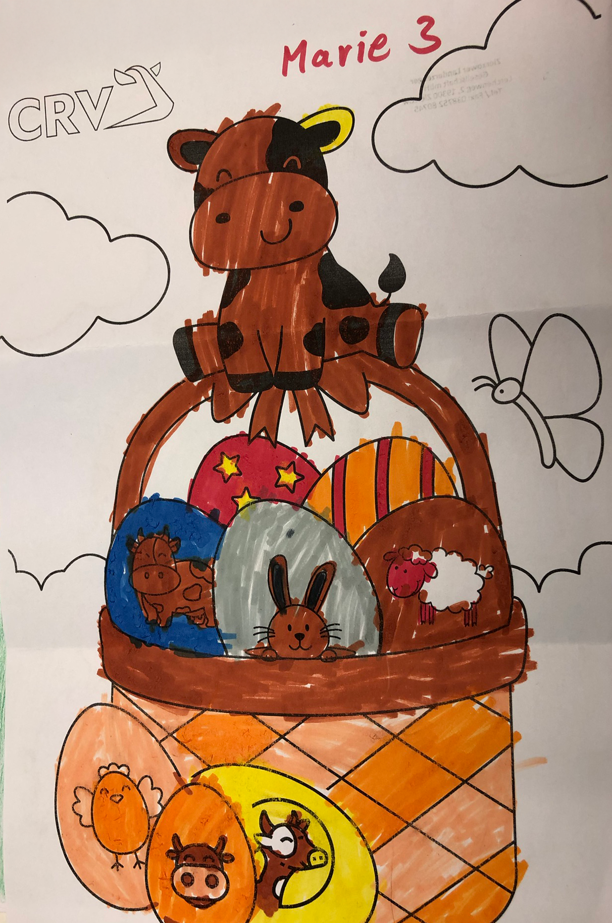 Marie Zierzower, 3 Jahre