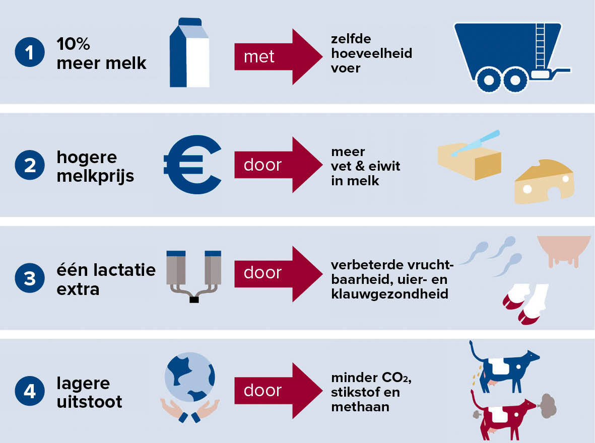 Daarom kiest u voor CRV – Infographic