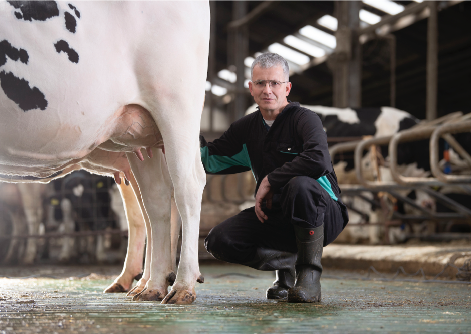 Kees Simons, dairy farmer in Steenbergen, the Netherlands