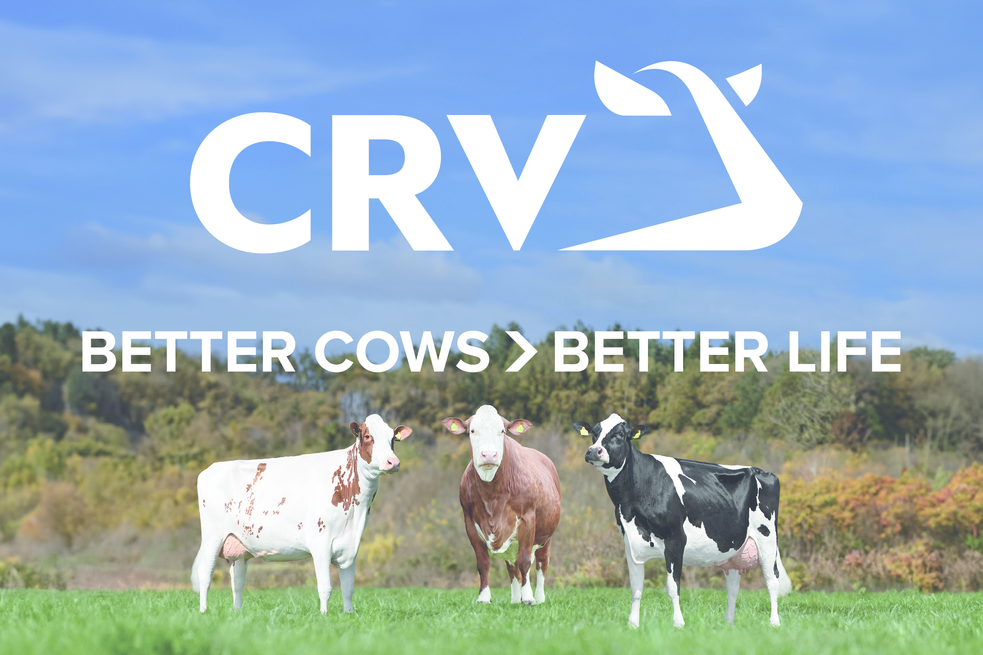 Über CRV