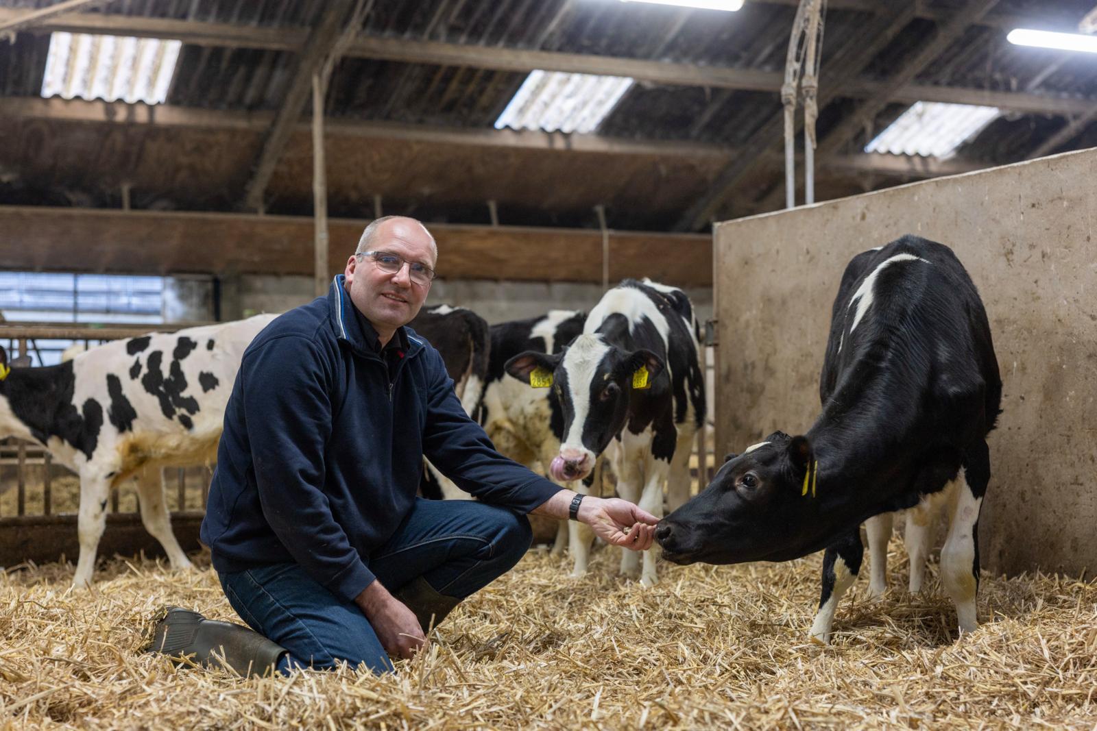 Making full use of the breeding toolbox for the best commercial cows