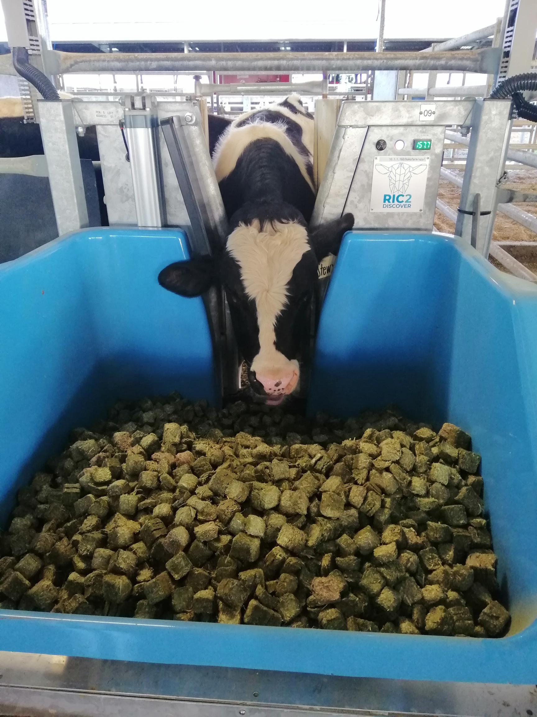 Equipment at CRV's Bellevue farm, near Cambridge, measures both feed intake and the amount of methane produced.