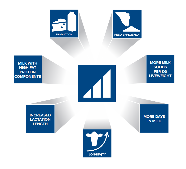 CRV Efficiency Building Blocks