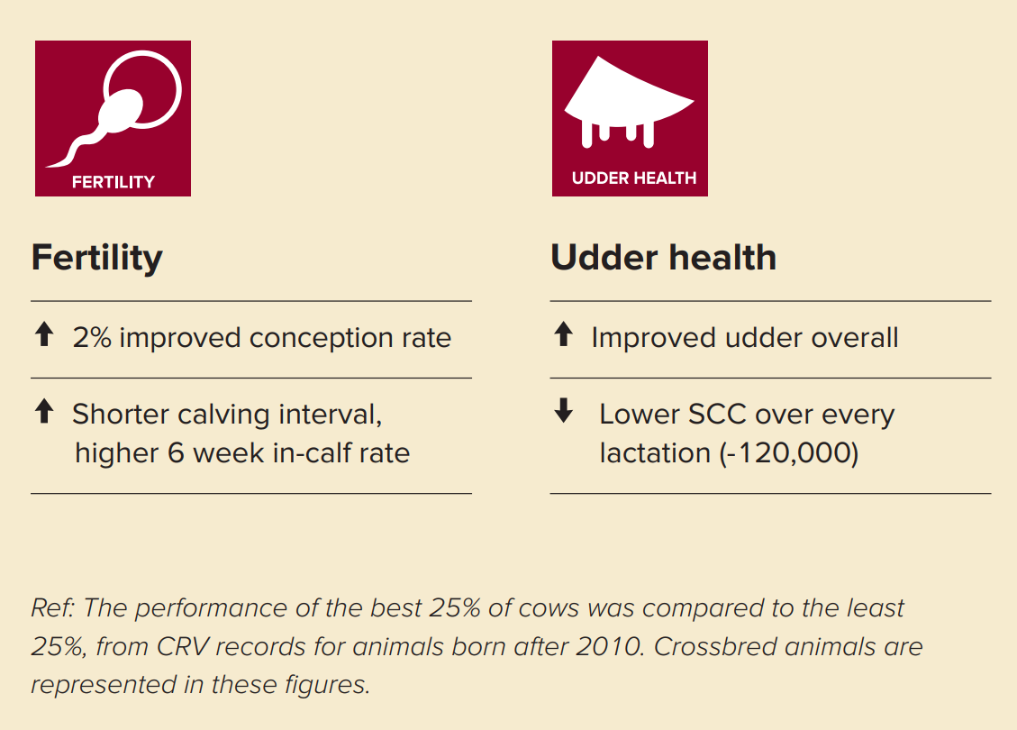 CRV Health Figures