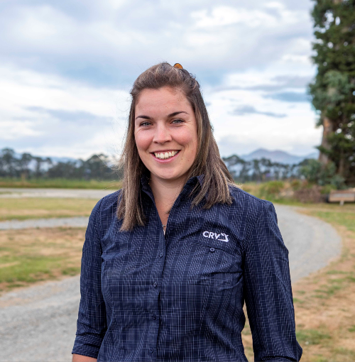 Genetics can help South Island dairy farmers produce more from less as dry summers persist