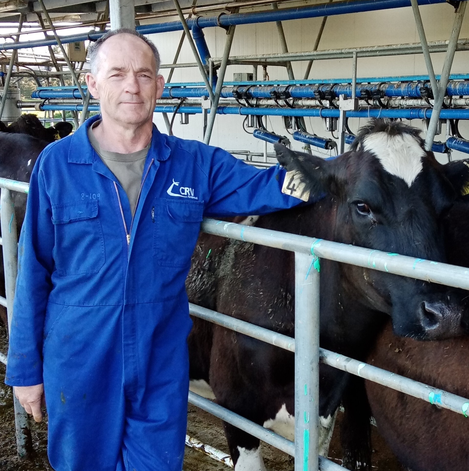 AB technician clocks up half a million inseminations