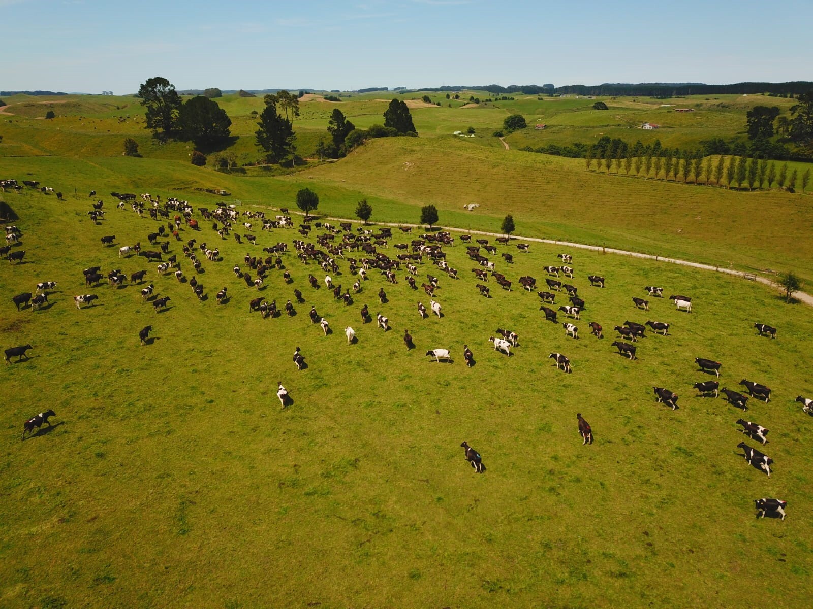 Genetics will help meet climate change targets without sacrificing milk production