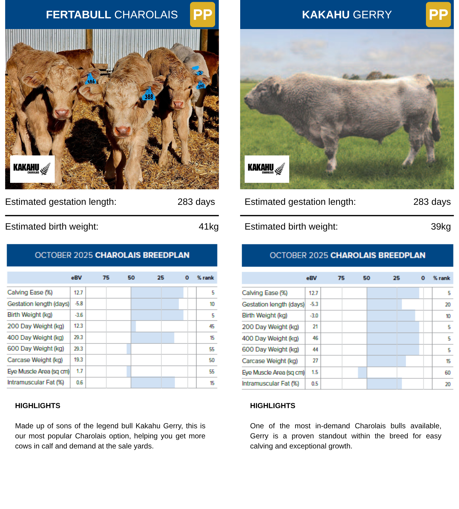 Charolais Sires