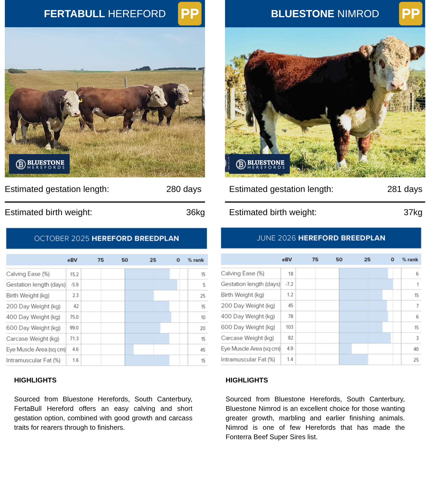 Hereford Sires