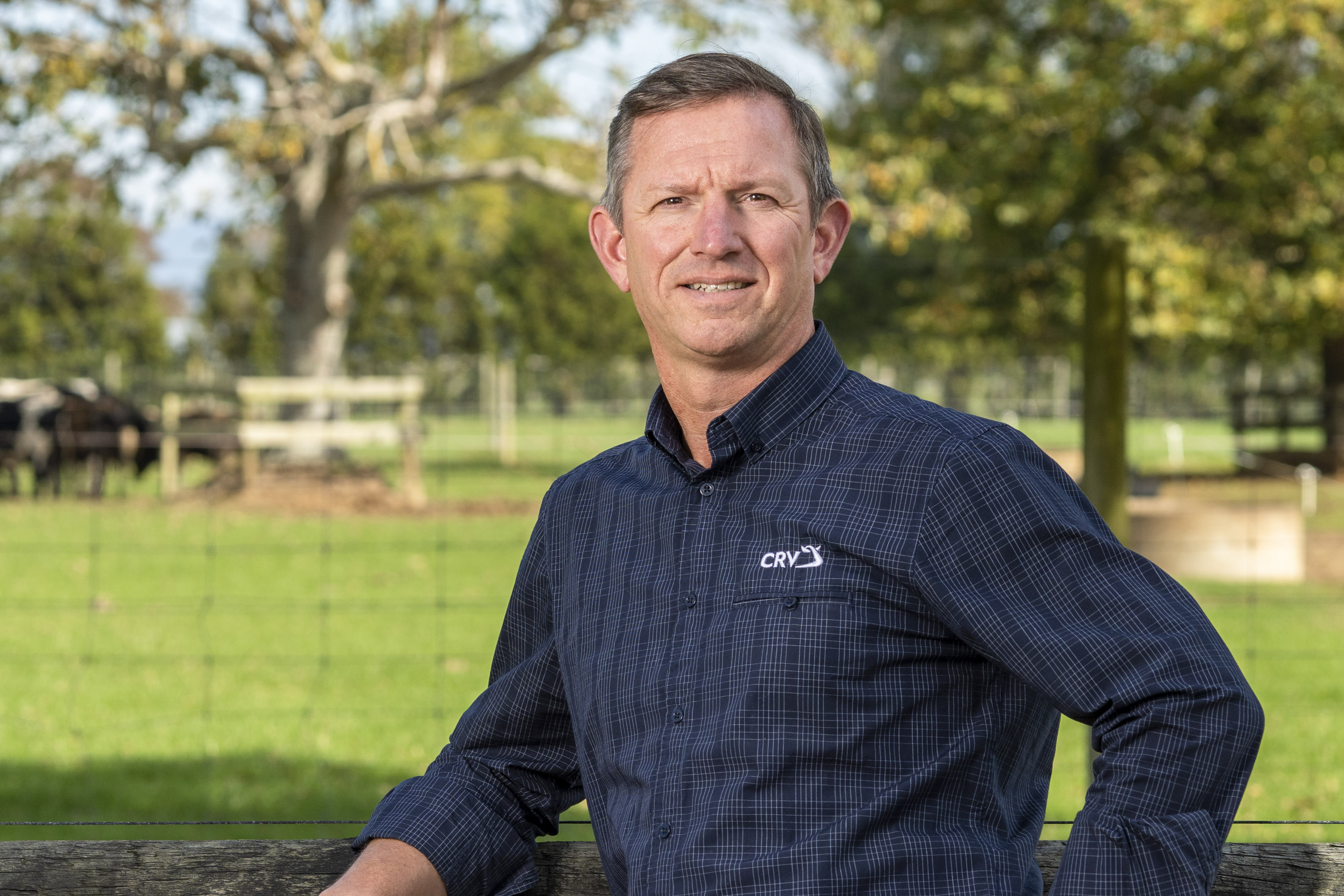 Beef-on-Dairy enters a new phase as farmers breed for value beyond the farm gate