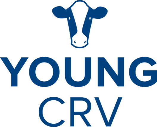 CRV introduceert Young CRV