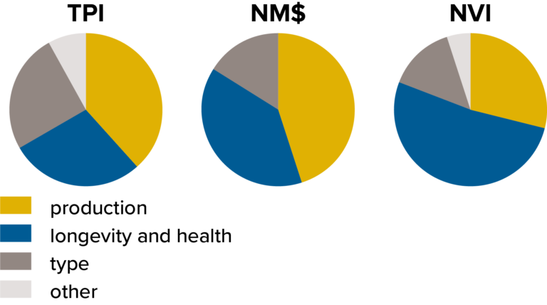 Figura 1 – Participación de producción, conformación (tipo) y longevidad y salud en TPI, NM$ y NVI.