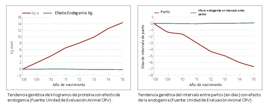 La ciencia monitorea la endogamia