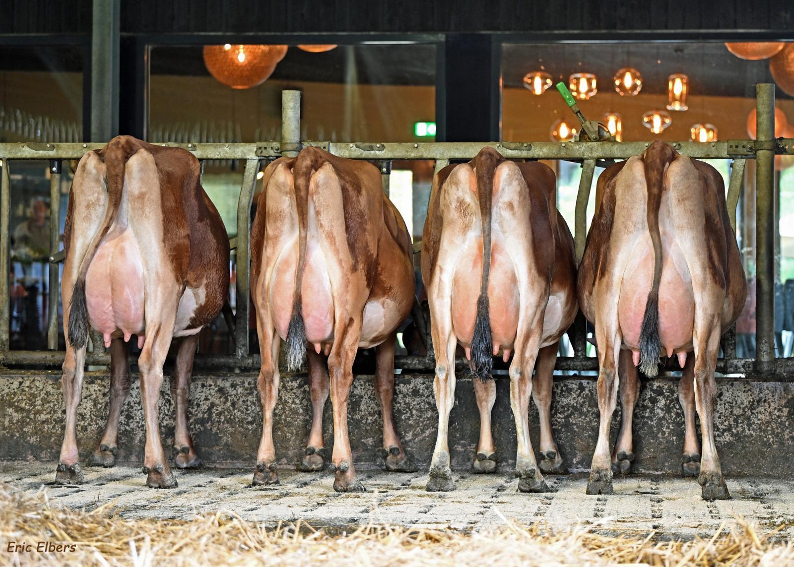 Dochters van Nucleus maken op ’t Nije Hoff verwachtingen waar