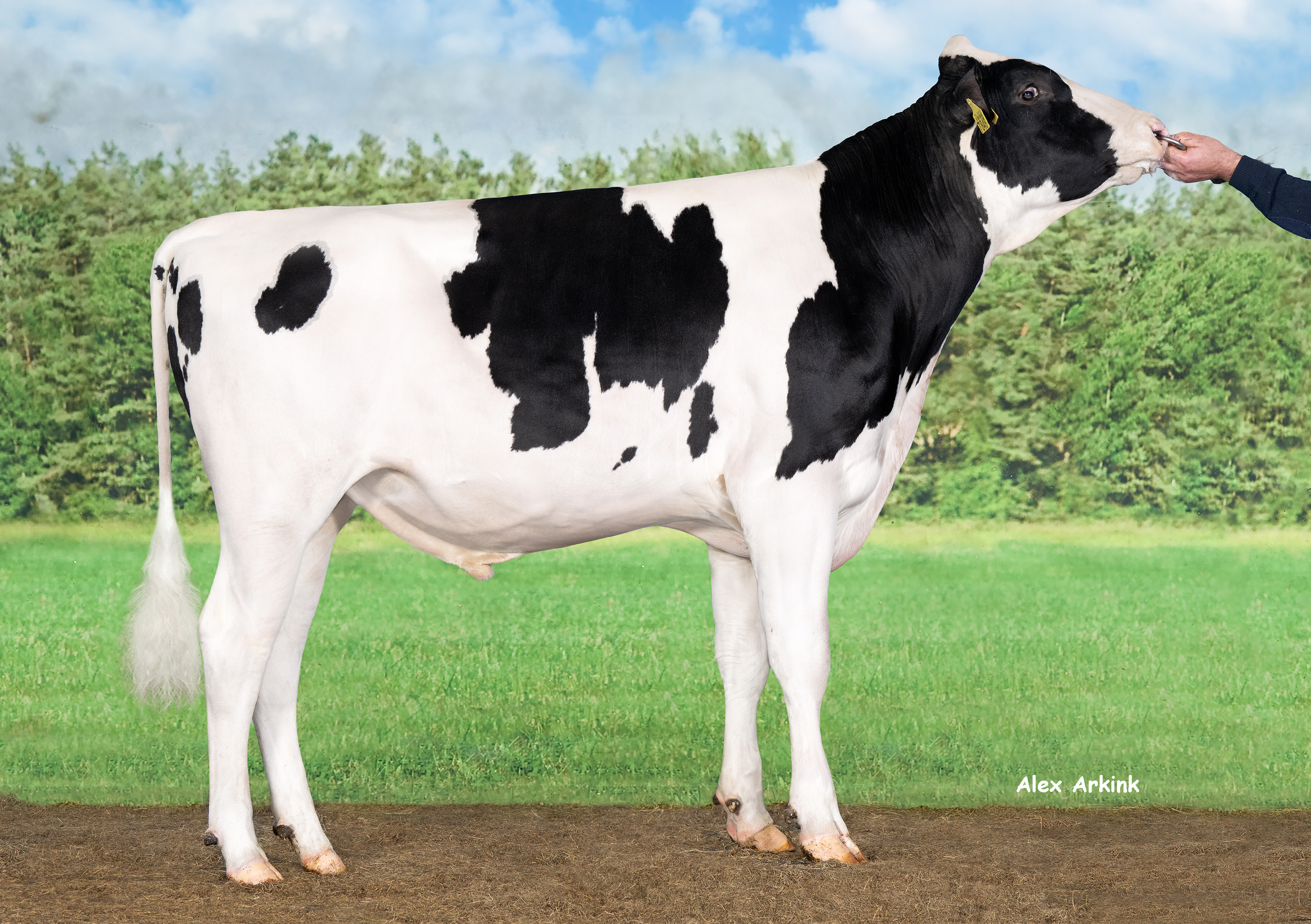 Zuchtwertschätzbericht Holstein April 2026