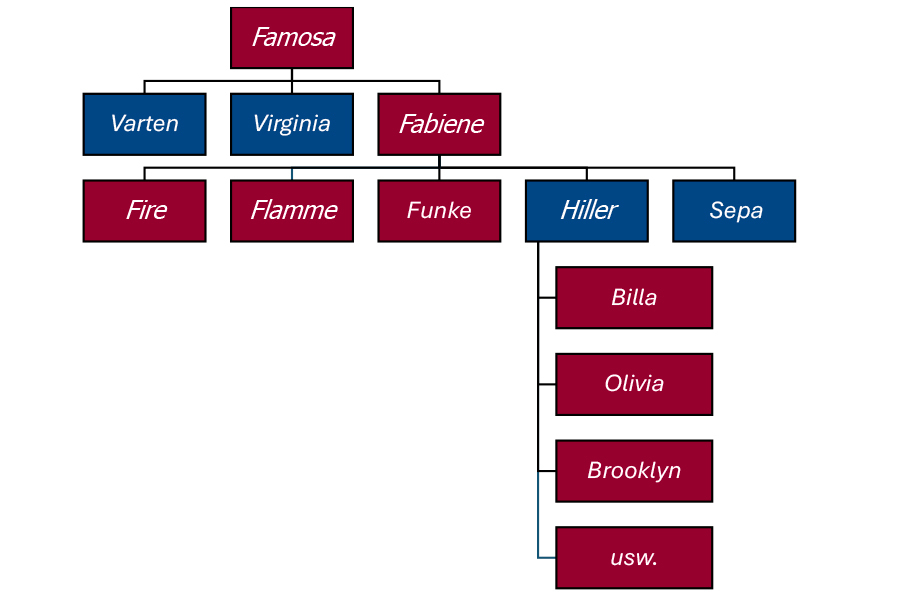 Organigram