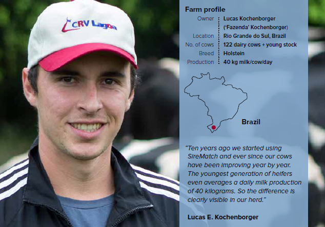 Lucas E. Kochenborger, Brazil about SireMatch