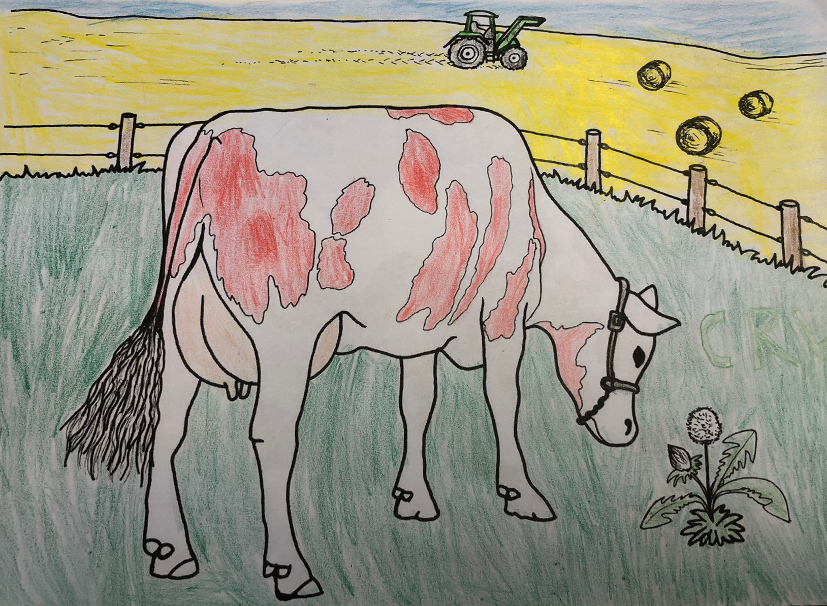 Owe Brandholz, 8 Jahre