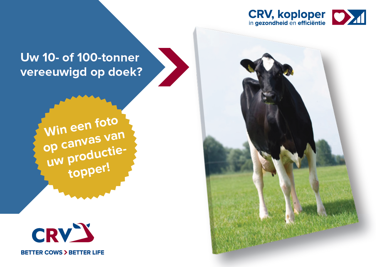 Heeft u een 10- of 100-tonner in de stal staan waar u trots op bent?