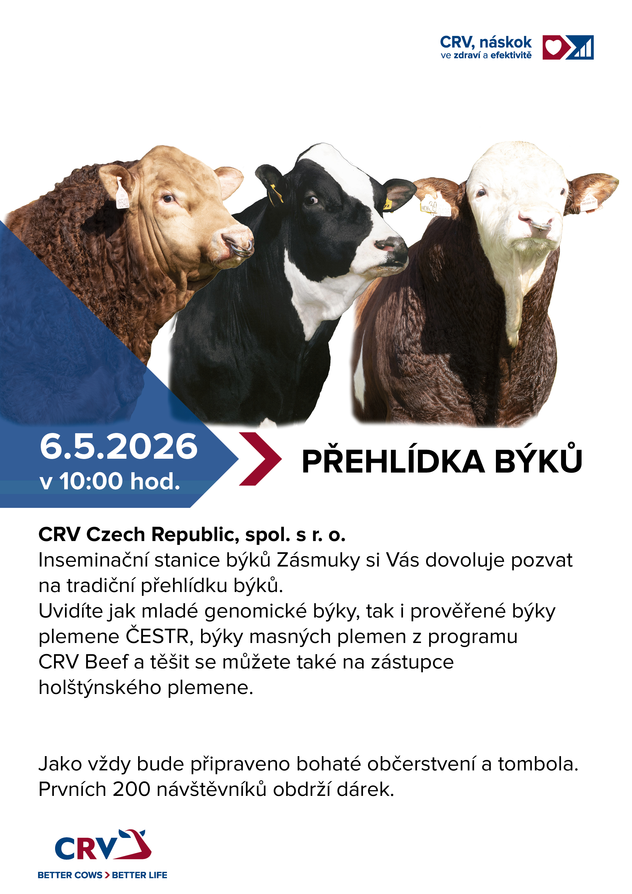 přehlídka býků Zásmuky 2026