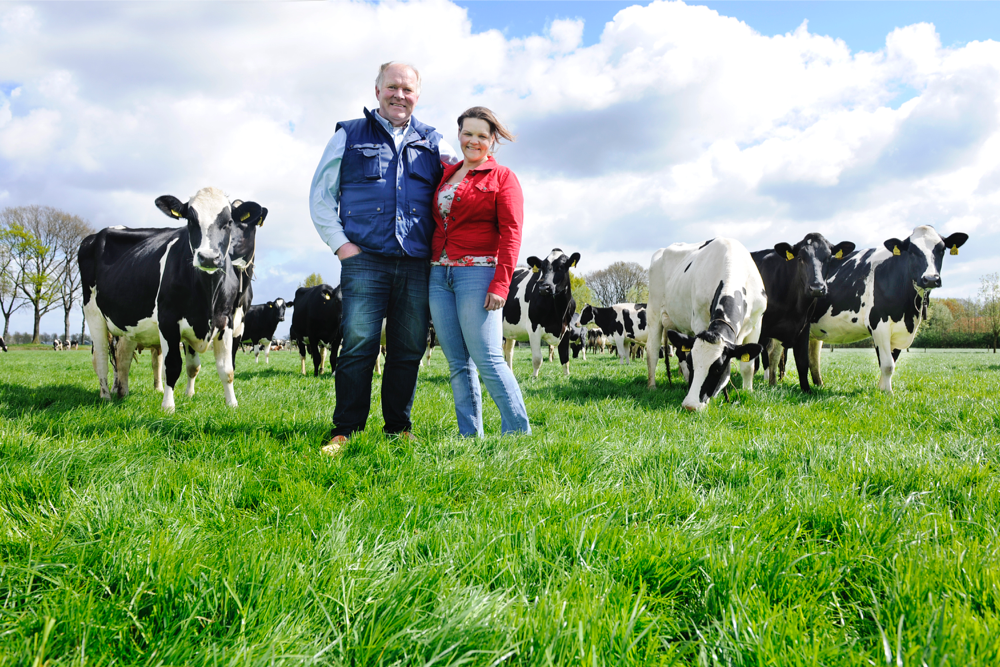 Milchbauern Jos und Ingrid Knoef aus Geesteren (Niederlande) über InSire