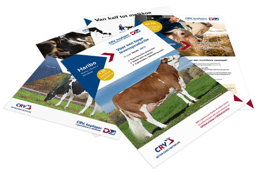 CRV Holstein brochure