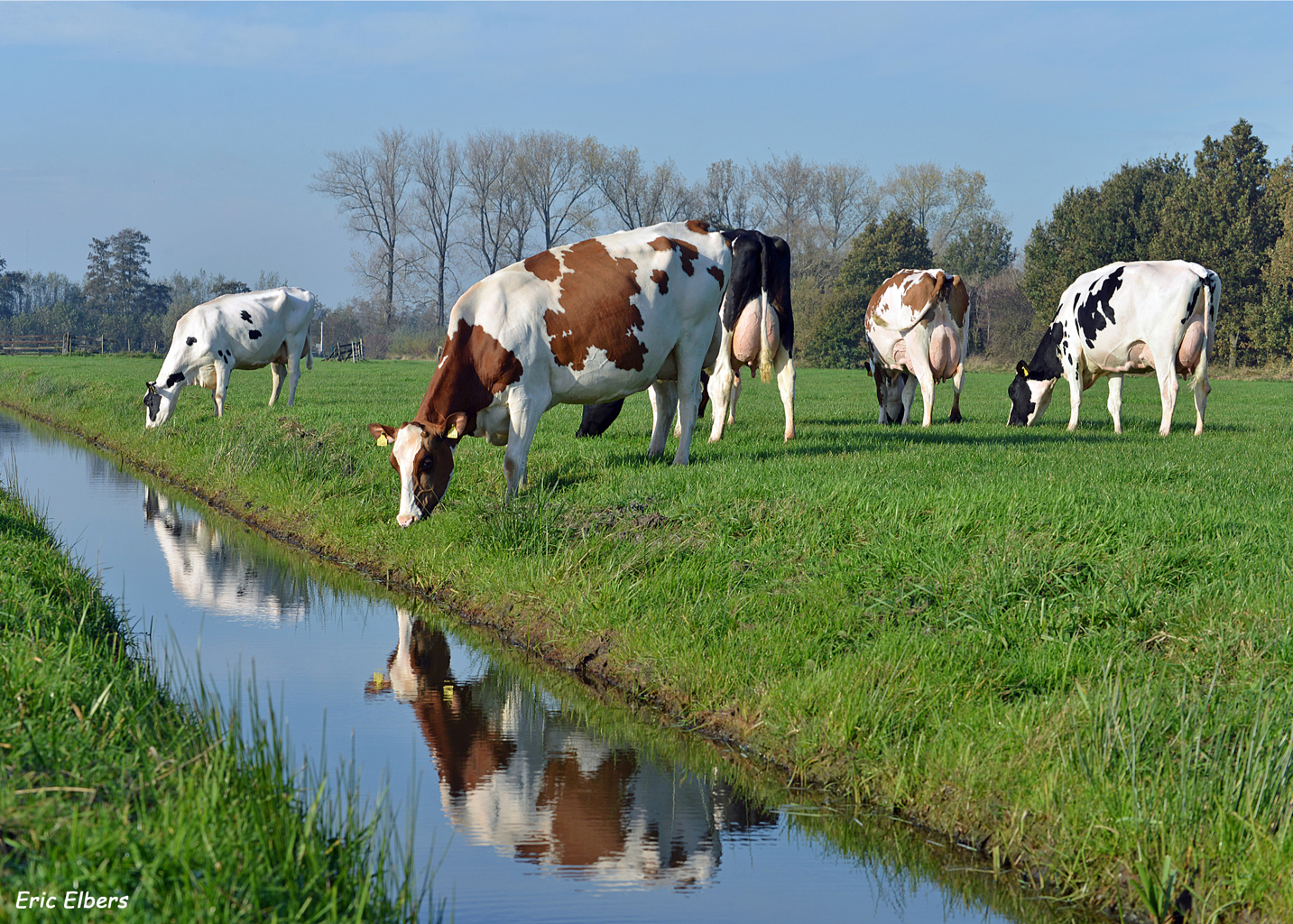 <p>Algemene voorwaarden</p>