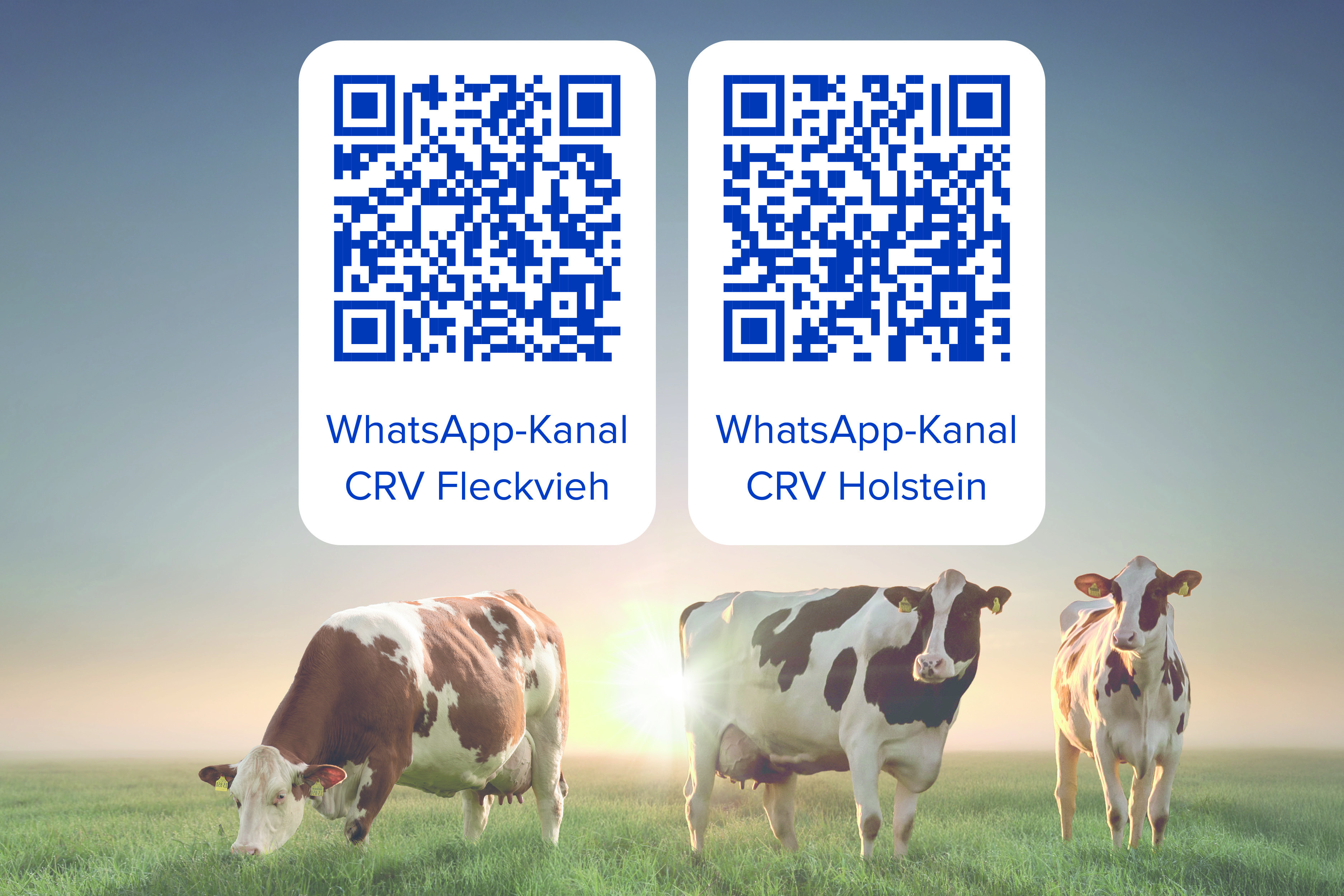 Jetzt den QR-Code mit dem Smartphone scannen und uns folgen.