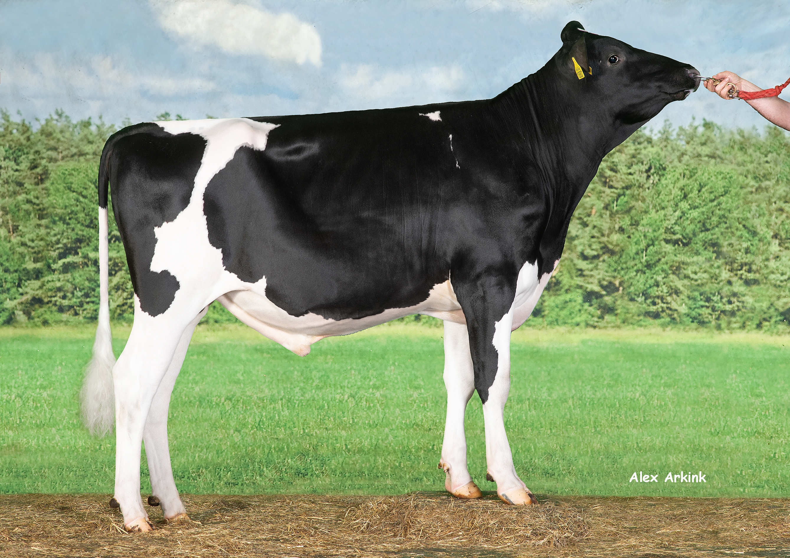 Die ersten Reformer-Töchter behaupten sich mit hohen Leistungen.