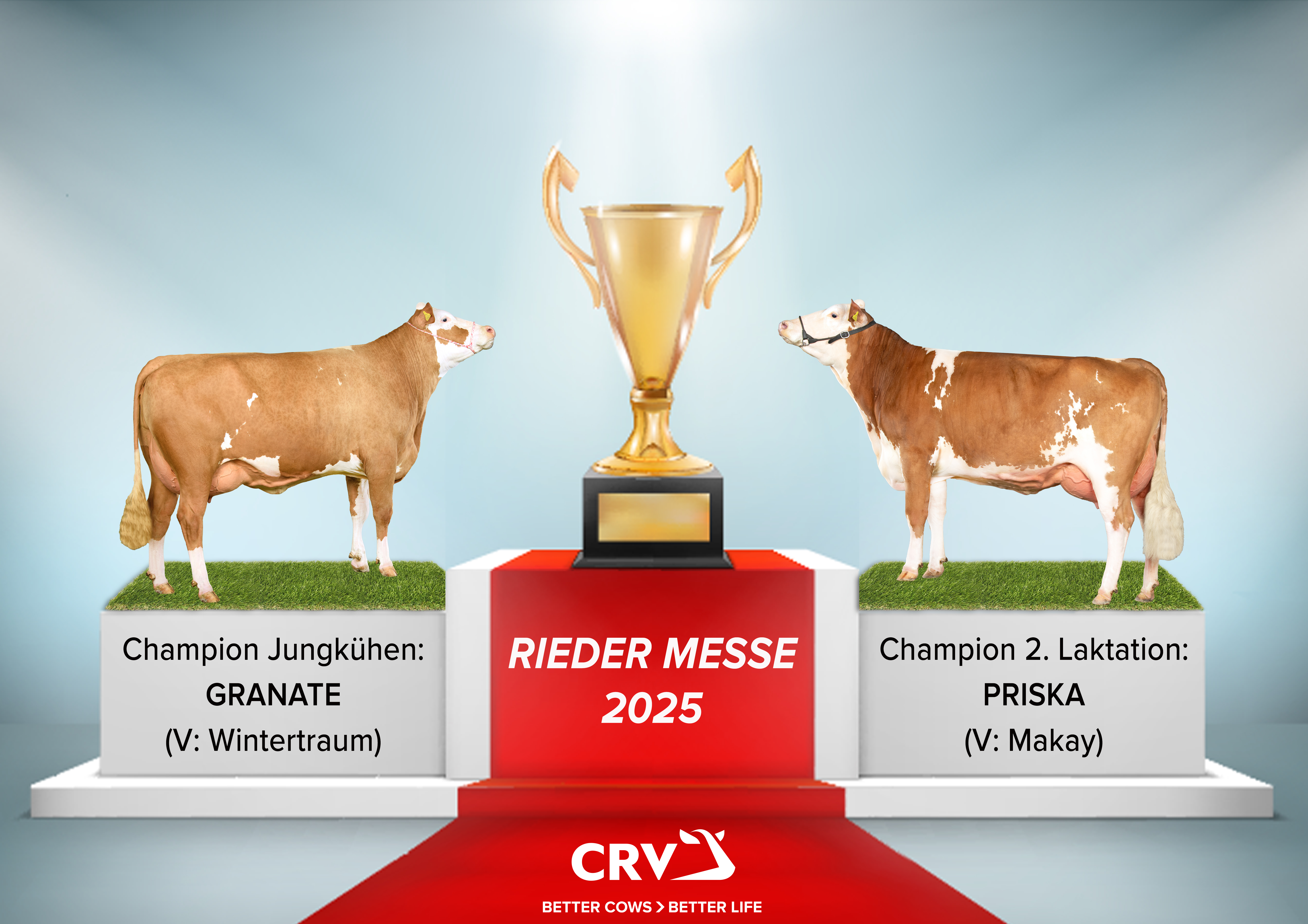 CRV-Genetik erfolgreich auf der Rieder Messe.