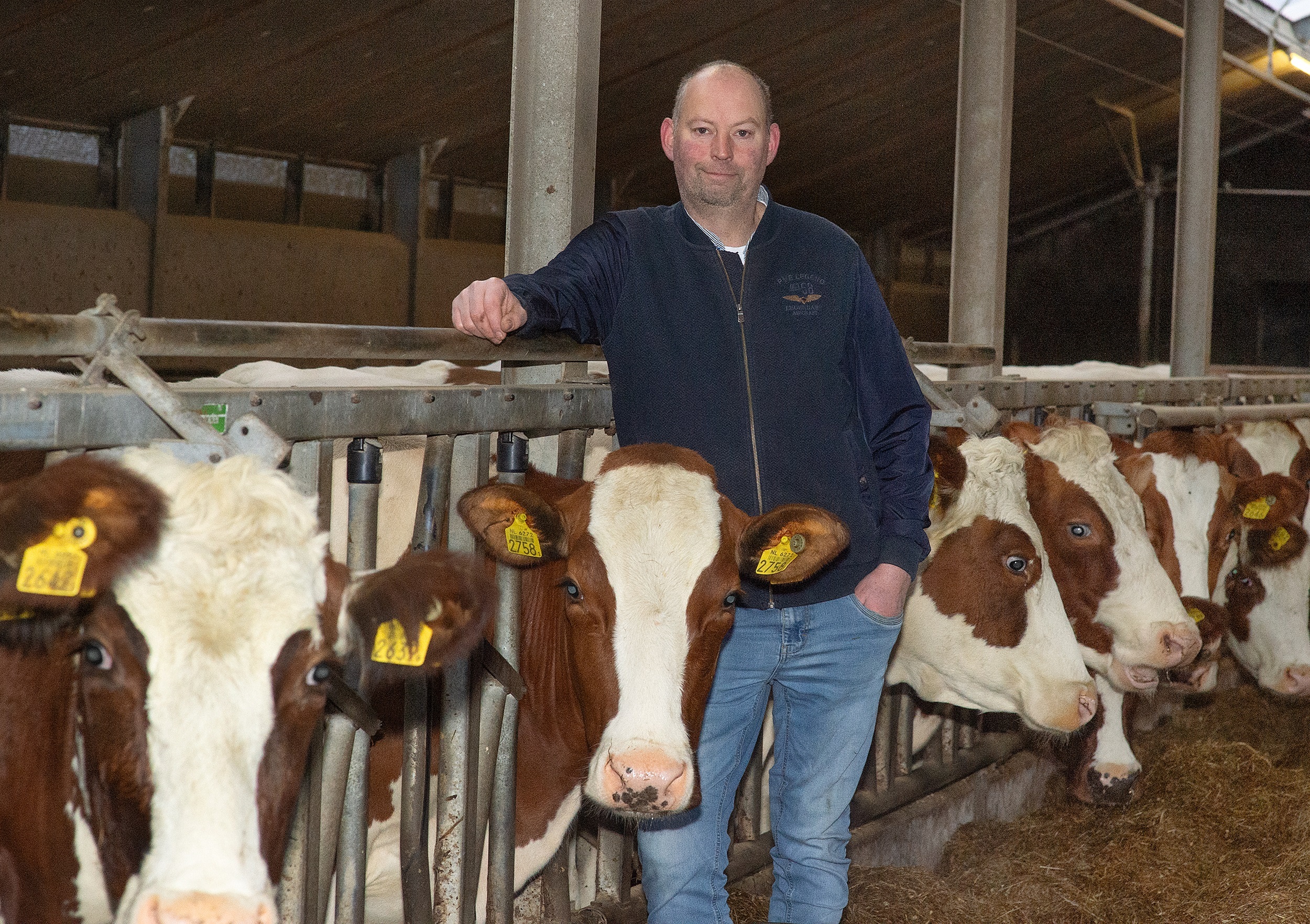 Mrij-stier Roelof geeft probleemloze koeien