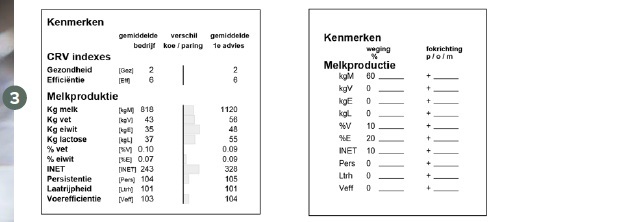 Welke stier past het best bij een koe? Paringsprogramma’s zoals het StierAdviesProgramma (SAP) helpen veehouders bij het maken van de juiste match.