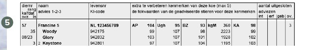 Welke stier past het best bij een koe? Paringsprogramma’s zoals het StierAdviesProgramma (SAP) helpen veehouders bij het maken van de juiste match.