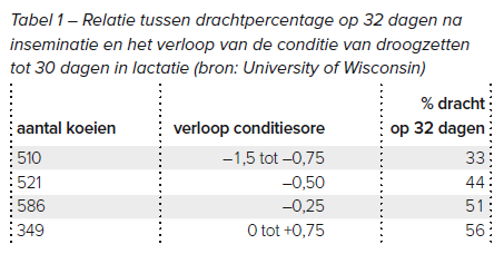 Tabel 1 – Relatie tussen drachtpercentage op 32 dagen na inseminatie en het verloop van de conditie van droogzetten tot 30 dagen in lactatie (bron: University of Wisconsin)