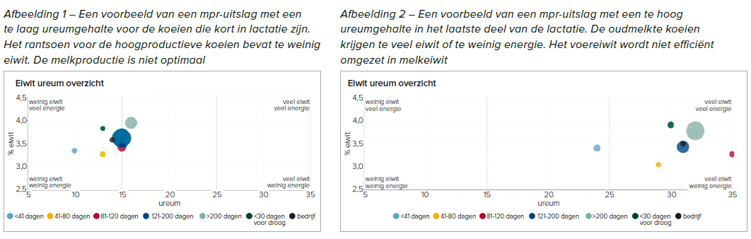 Een handig hulpmiddel voor het optimaliseren van de eiwitbenutting is de grafiek in MPR Voeding die het verloop van het ureum tijdens de lactatie in beeld brengt.