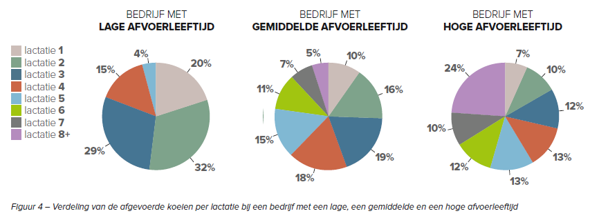 Figuur 4 – Verdeling van de afgevoerde koeien per lactatie bij een bedrijf met een lage, een gemiddelde en een hoge afvoerleeftijd