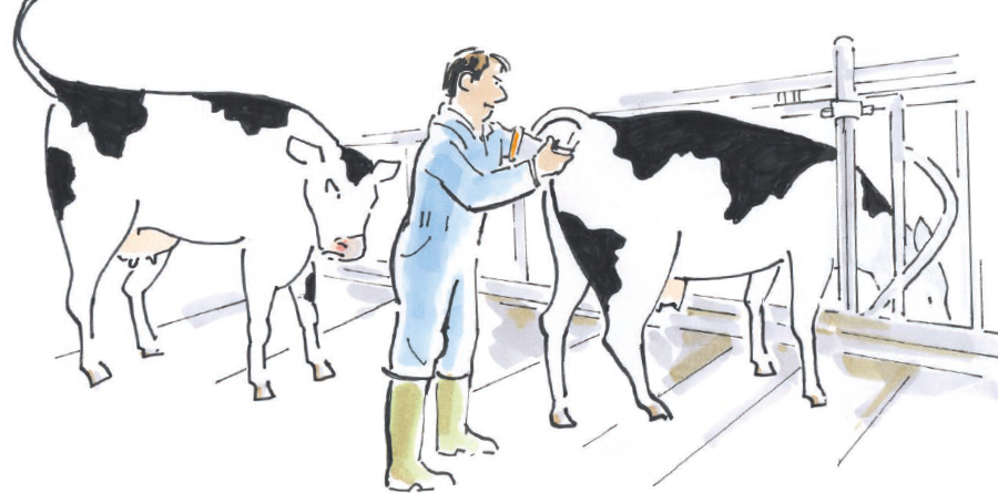 In een seconde lag de inseminator gevloerd