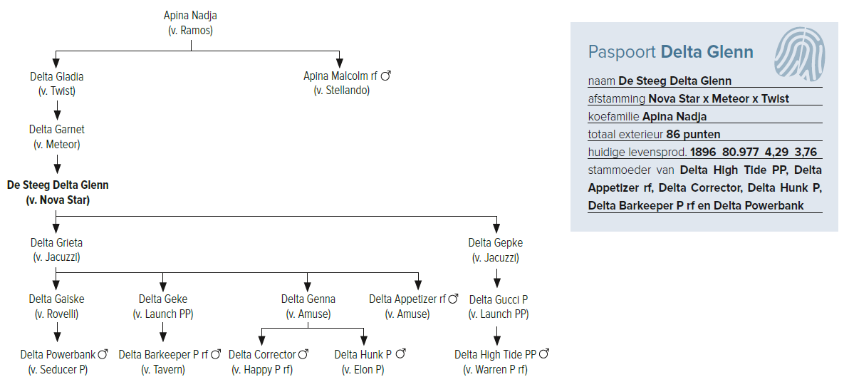Paspoort Delta Glenn
