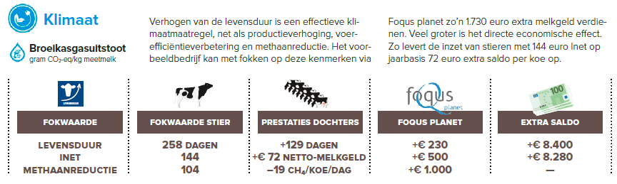 Klimaat