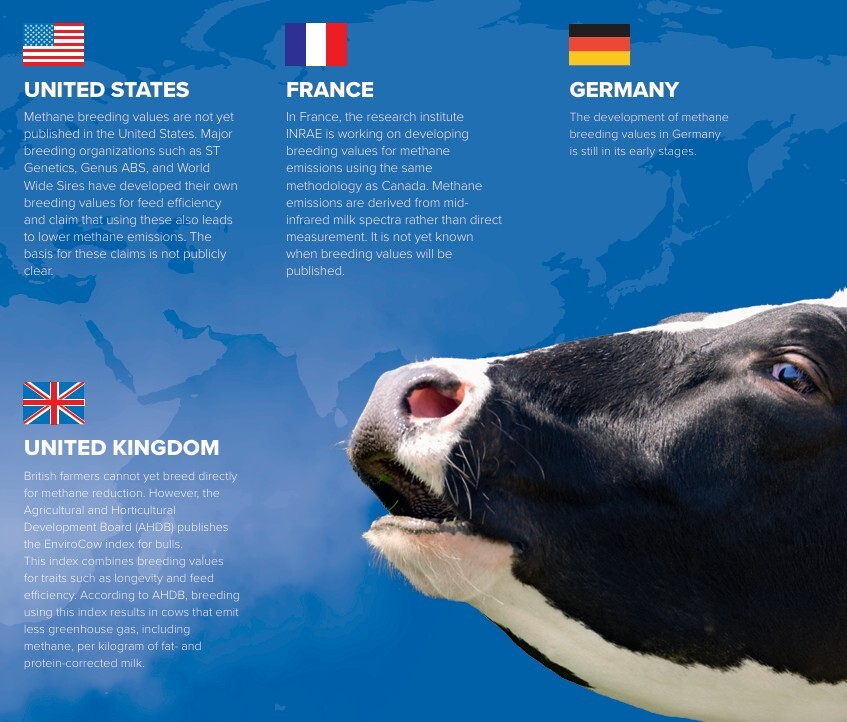 The breeding world working on methane breeding values
