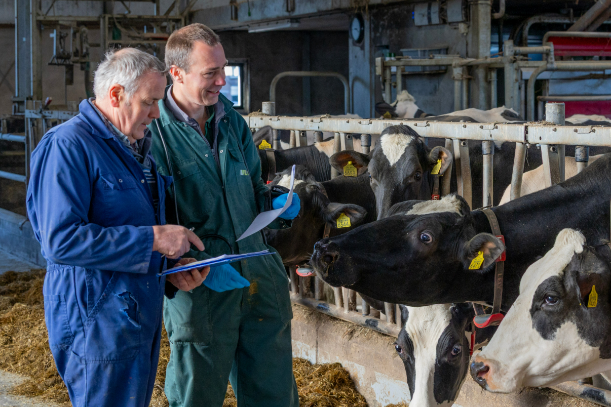 Uw dierenarts kan u beter adviseren met pirDAP