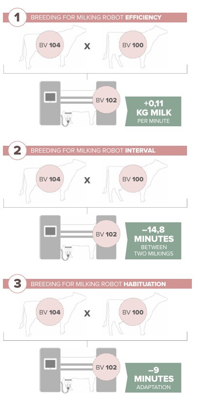 Three robot breeding values in one milking robot index