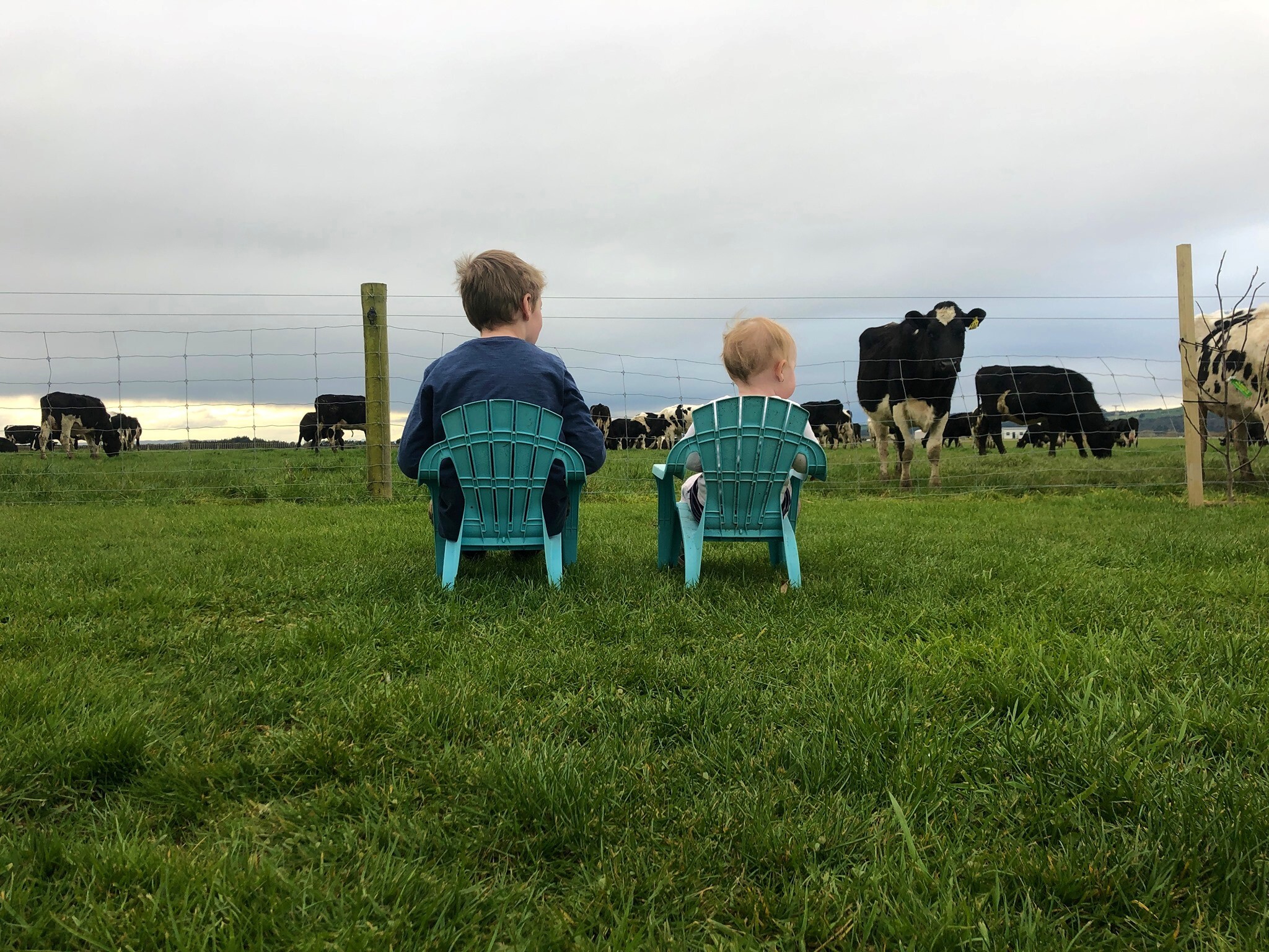 CRV - Fotowettbewerb