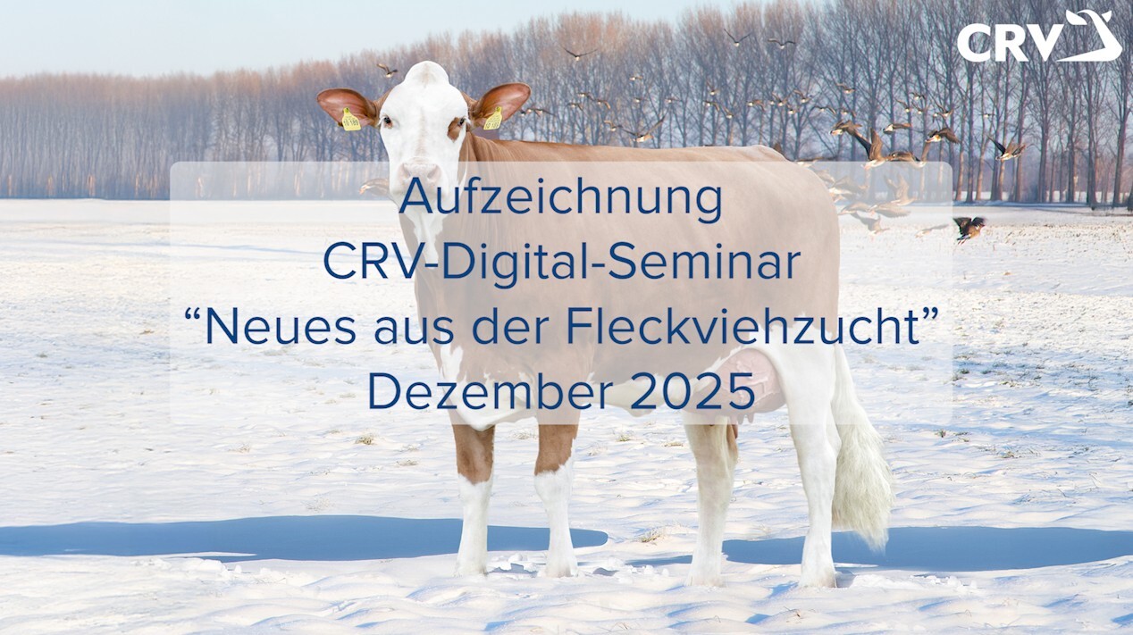 Aufzeichnung CRV-Digital-Seminar "Neues aus der Fleckviehzucht" Dezember 2025