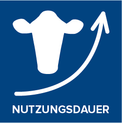 Nutzungsdauer