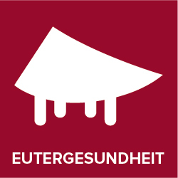 Eutergesundheit