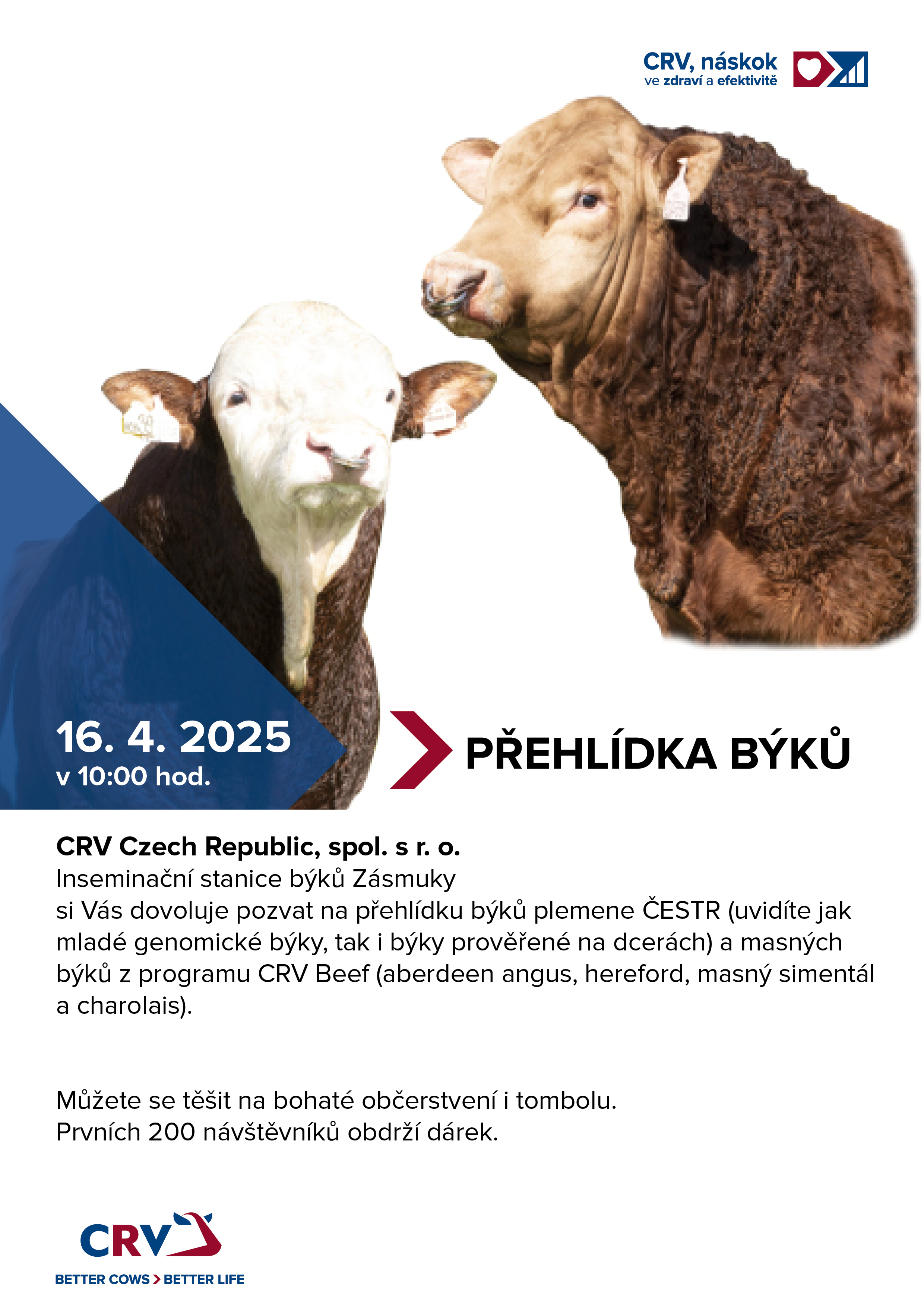 Prehliadka býkov Zásmuky 2025