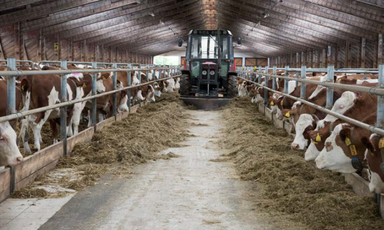 Reconstructed barn ZOD Borovany - other farmers about Ovalert