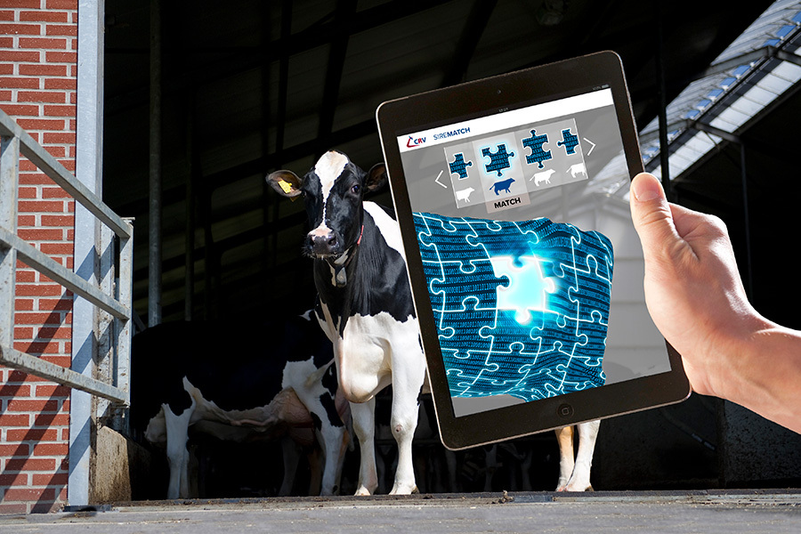 CRV Serviceprodukte-Videos