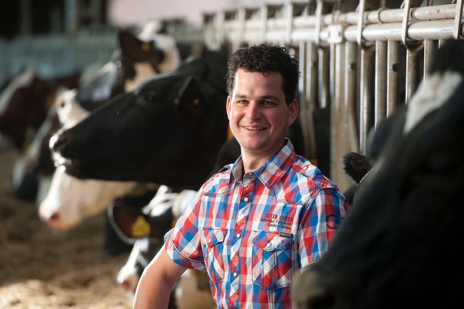 Frank Wilborts, farmer in the Netherlands